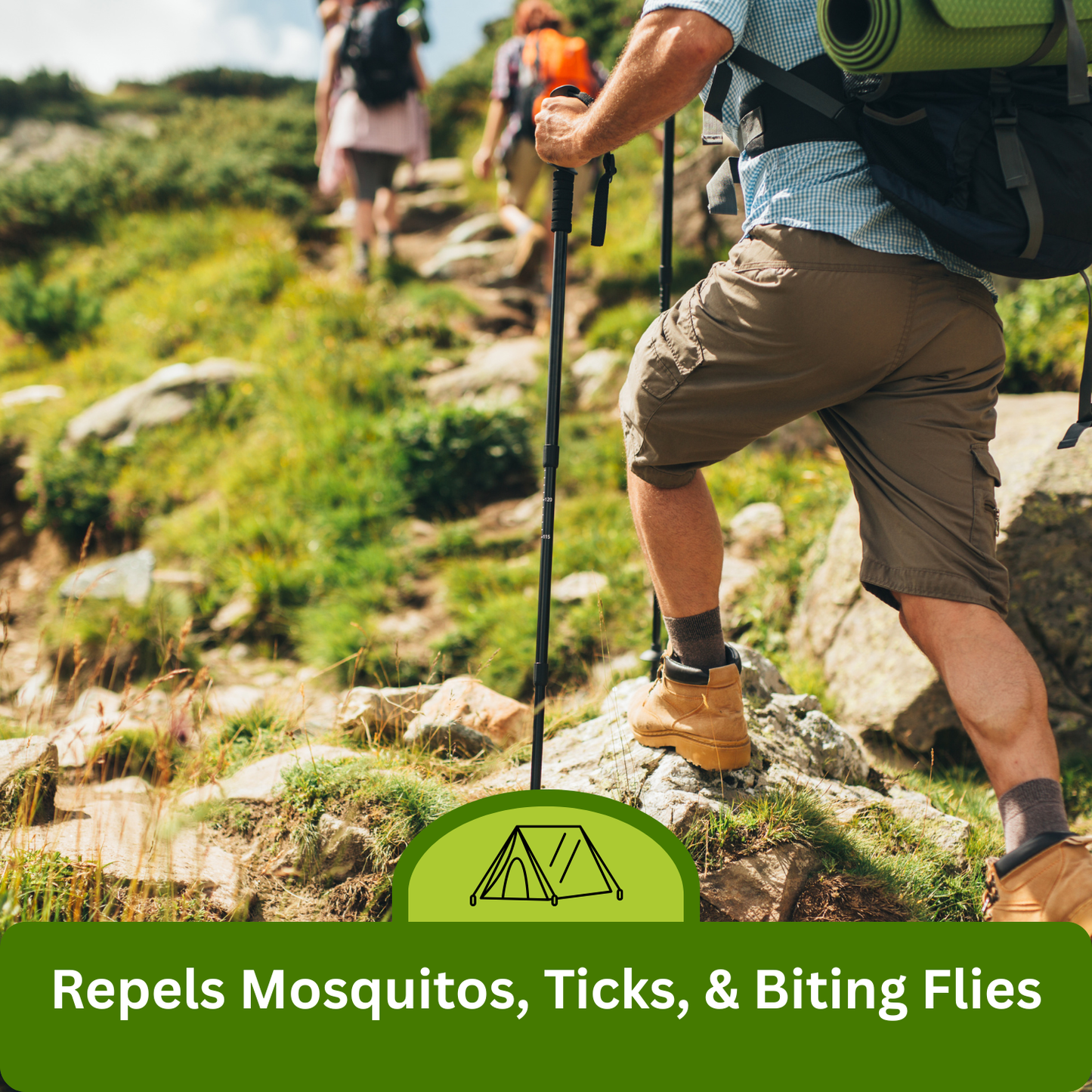 Natural Insect Repellent