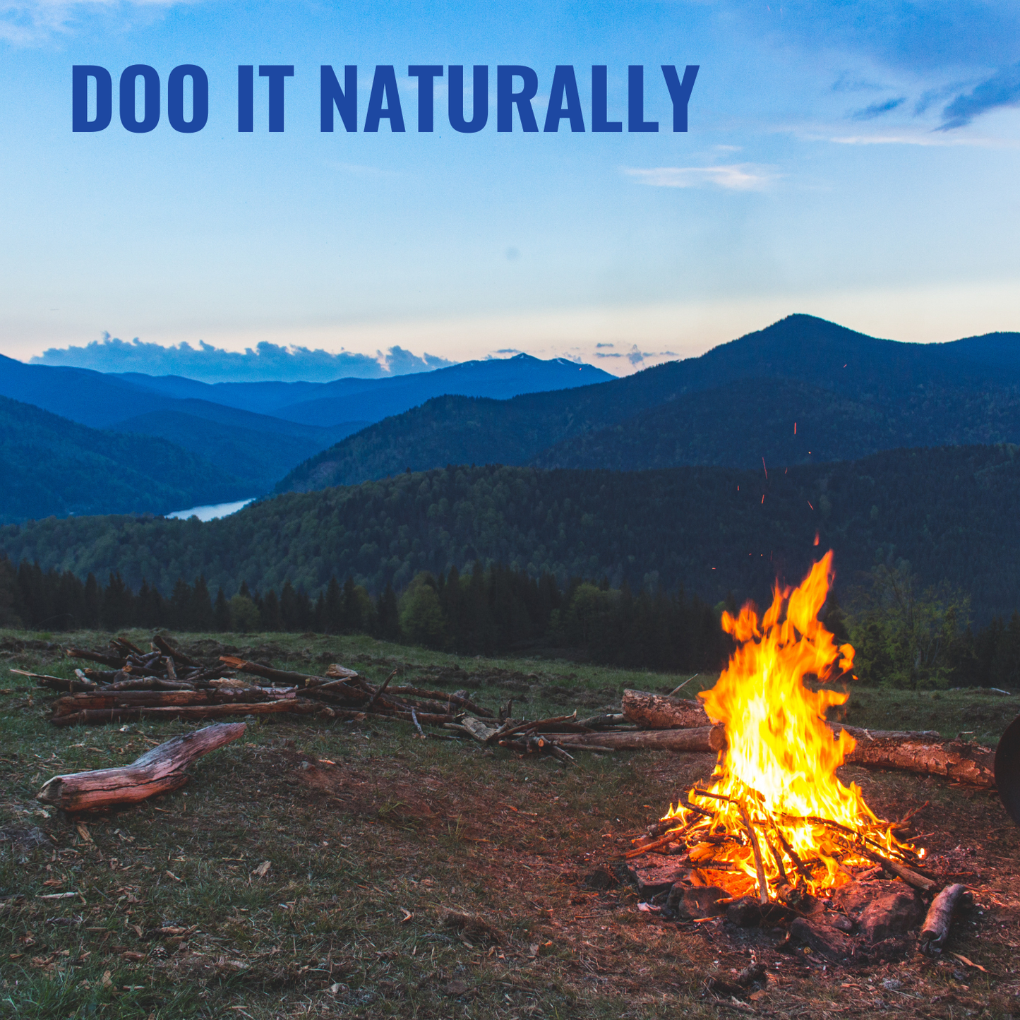 Natural Insect Repellent